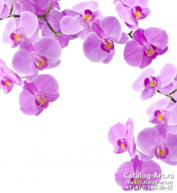Pink orchids 103